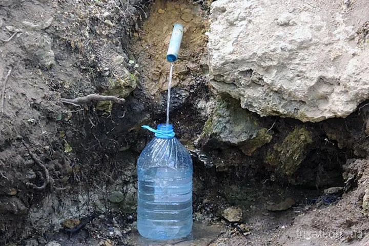 Друга Звіздарка, Трихати