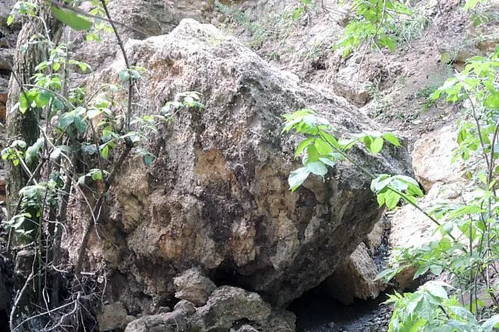 Друга Звіздарка, Трихати