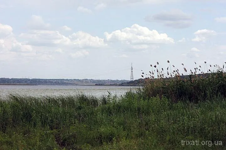 Друга Звіздарка, Трихати