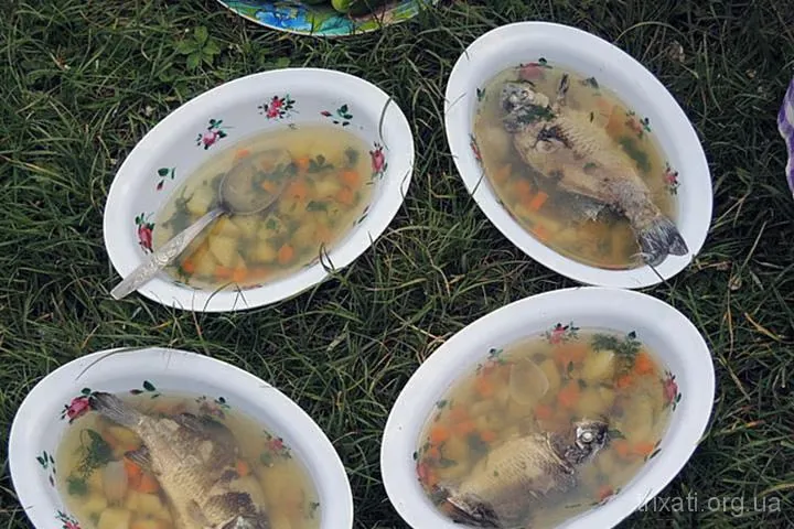 Друга Звіздарка, Трихати