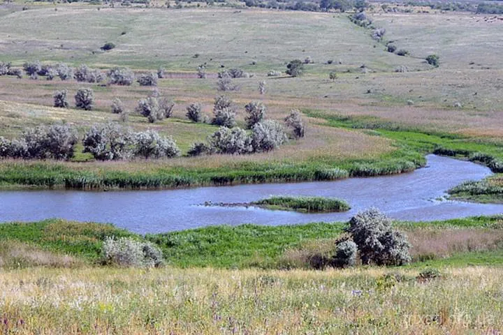 Друга Звіздарка, Трихати