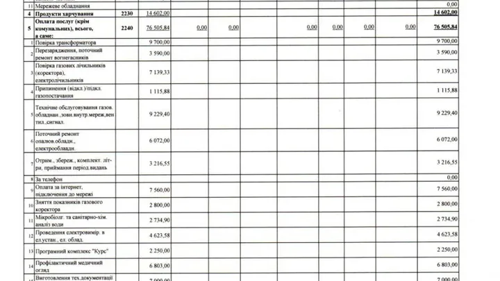 Видатки Трихатського ліцею Ольшанської селищної ради Миколаївського району Миколаївської області за 2024 рік (станом на 31 грудня 2024 року)