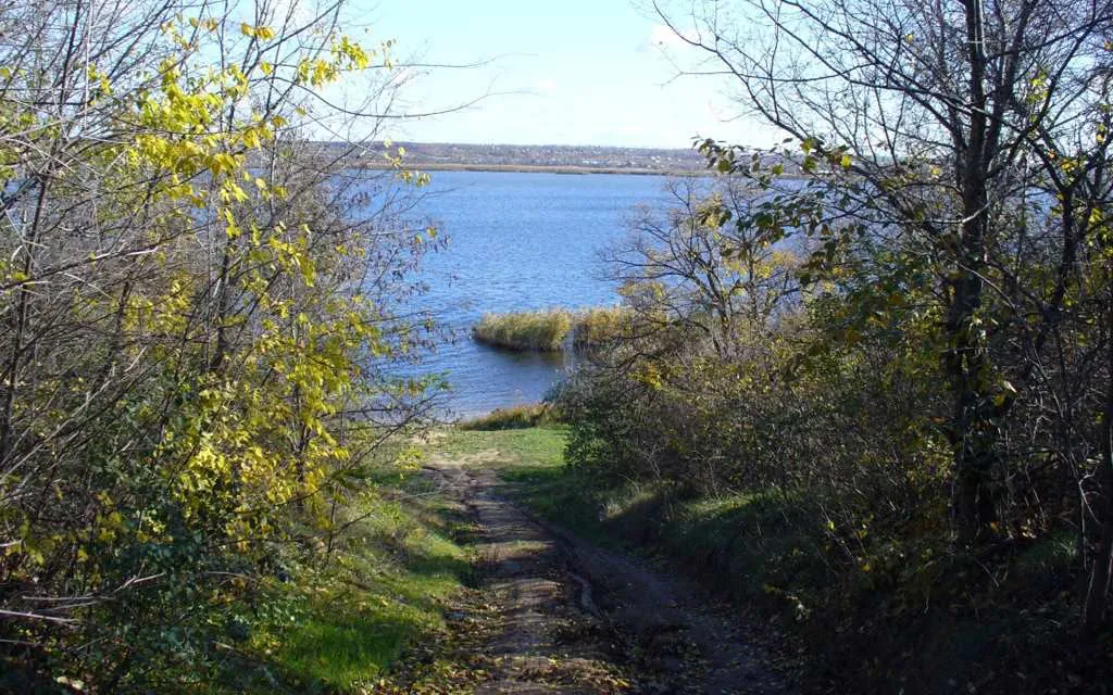 Відгомін гілеї Лісорослинне угрупування р. Південний Буг