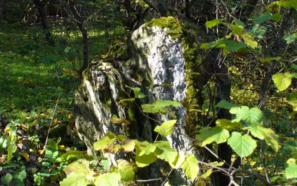 Природа в Трихатах