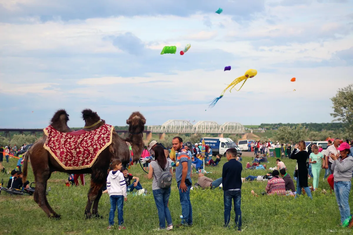 Tryhutty Kite Fest 2018