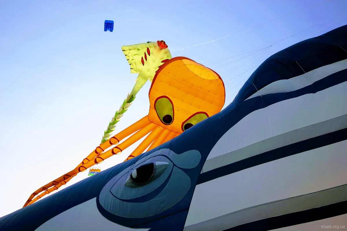 Tryhutty Kite Fest 2019
