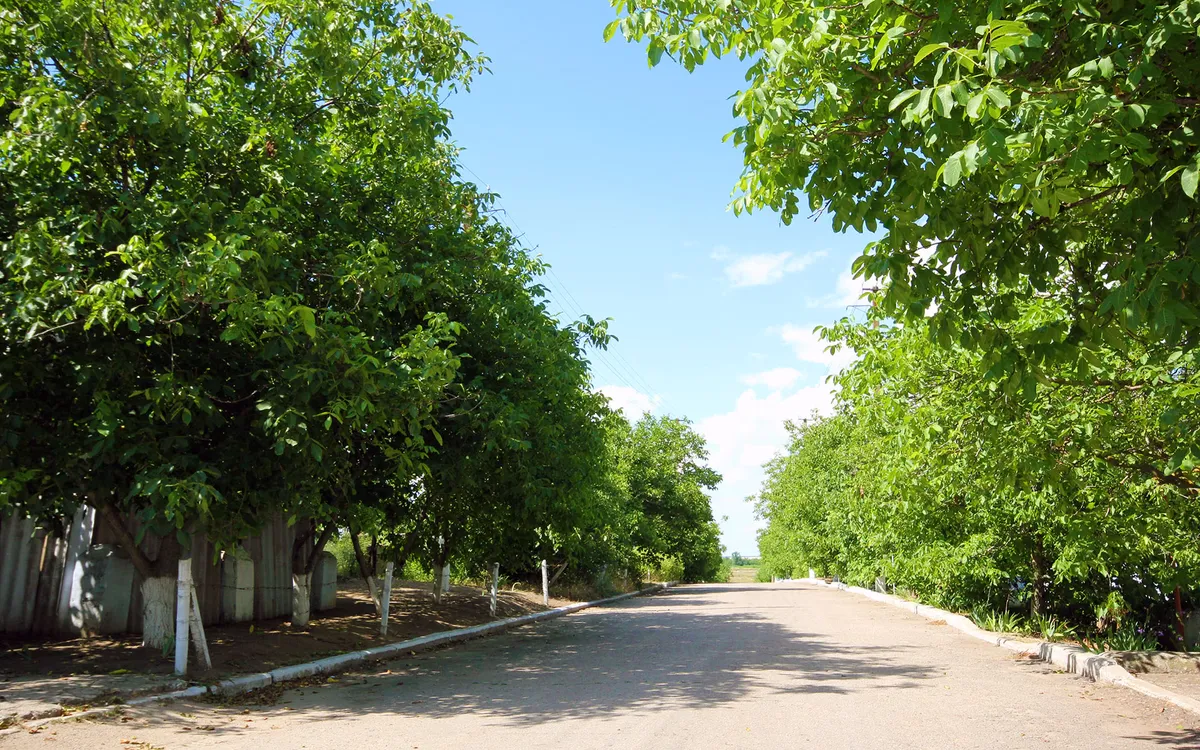 Вулиця Жовтня
