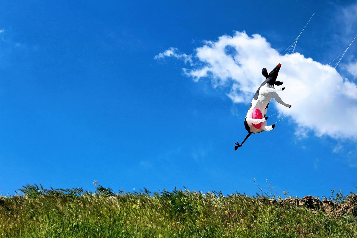 Tryhutty International Kite Festival 2017