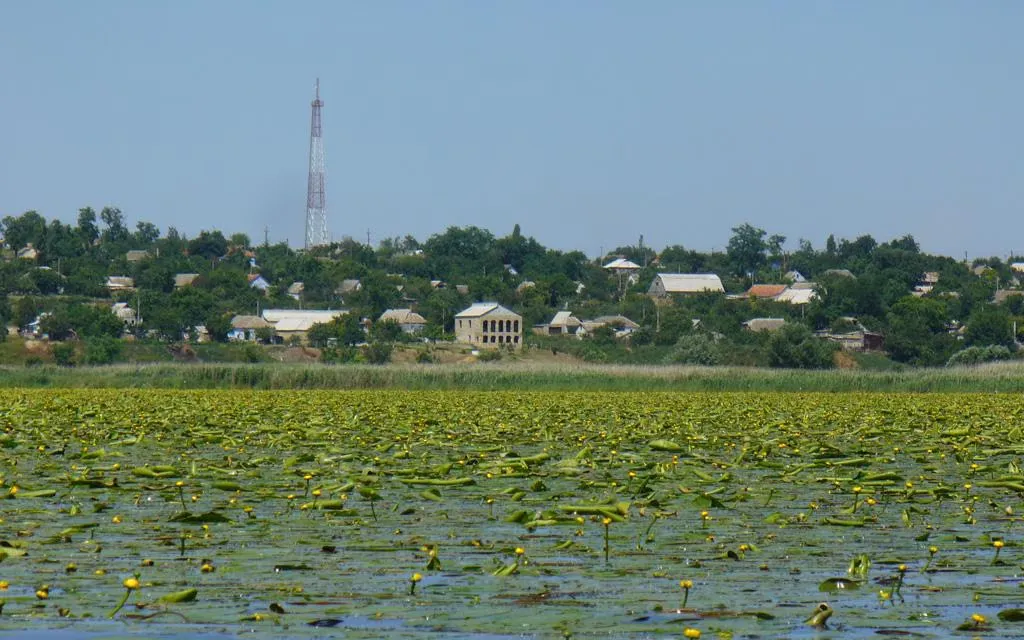 Вид з Південного Бугу