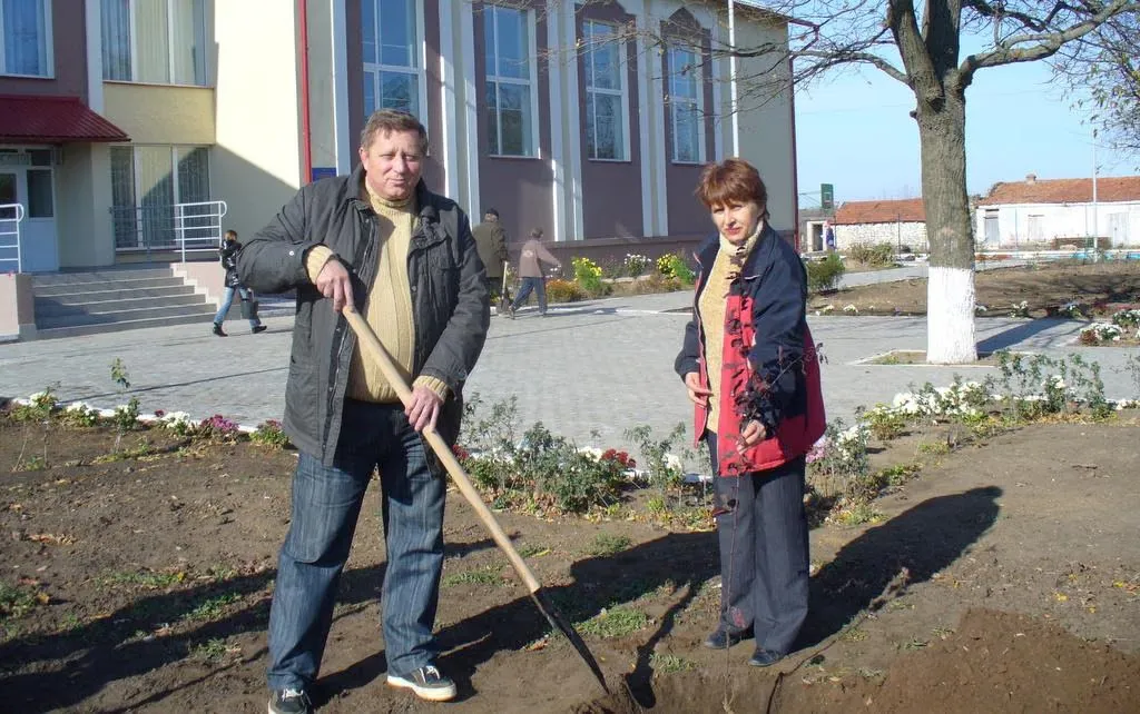 Саджанці