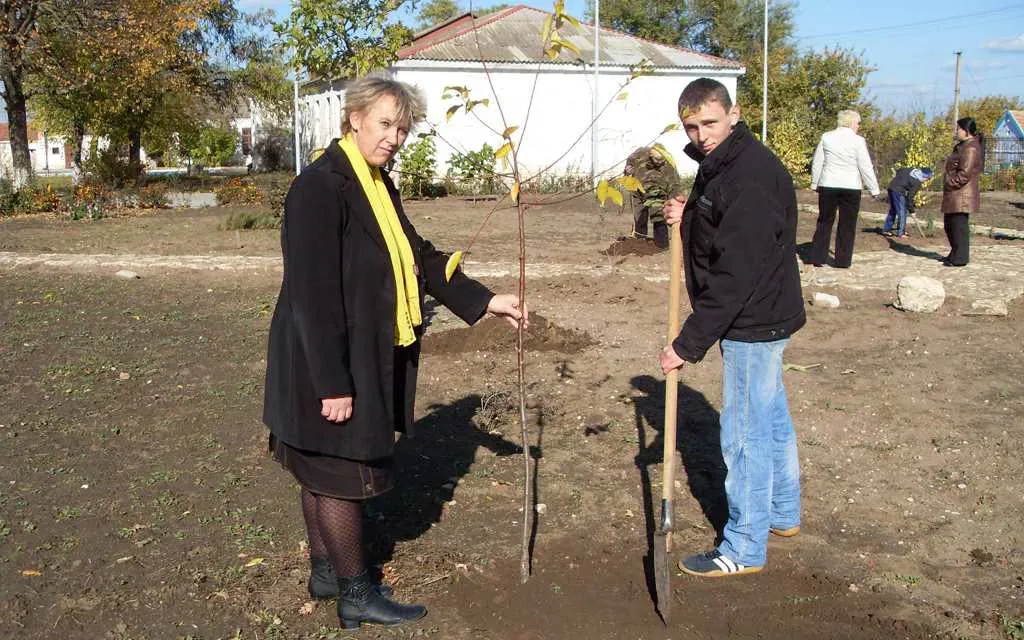 Зелене мереживо для рідної школи