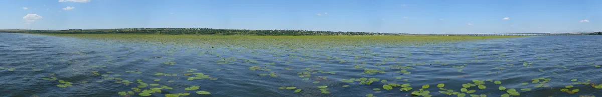 Літо 2009