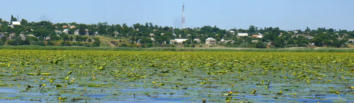 Літо 2009