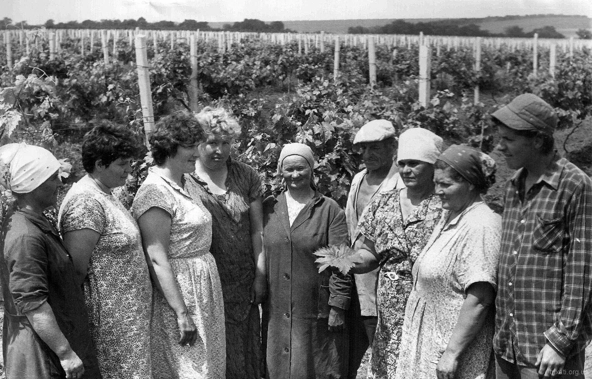 Кондратьева Олена, Каліна Тамара, Ніколайчук Тамара, Мирова Людмила, Васильчук Катерина, Шестаков Іван, Кравченко Ніна, Кондратьева Марія, Позняк Анатолій