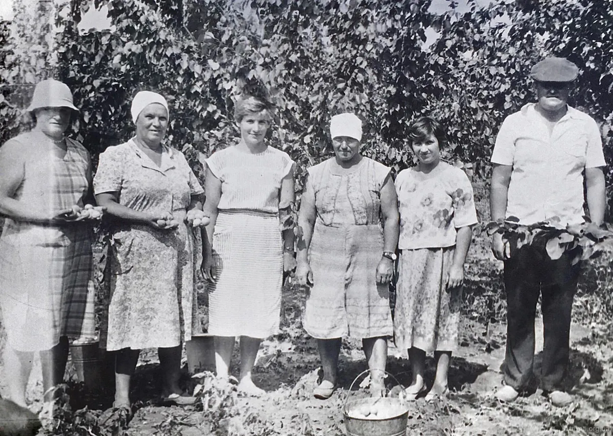 Ємець Катерина, Поліщук Лідія, Щербина Катерина, Бабаліч Катерина, Чечуй Людмила, Мащенко Анатолій