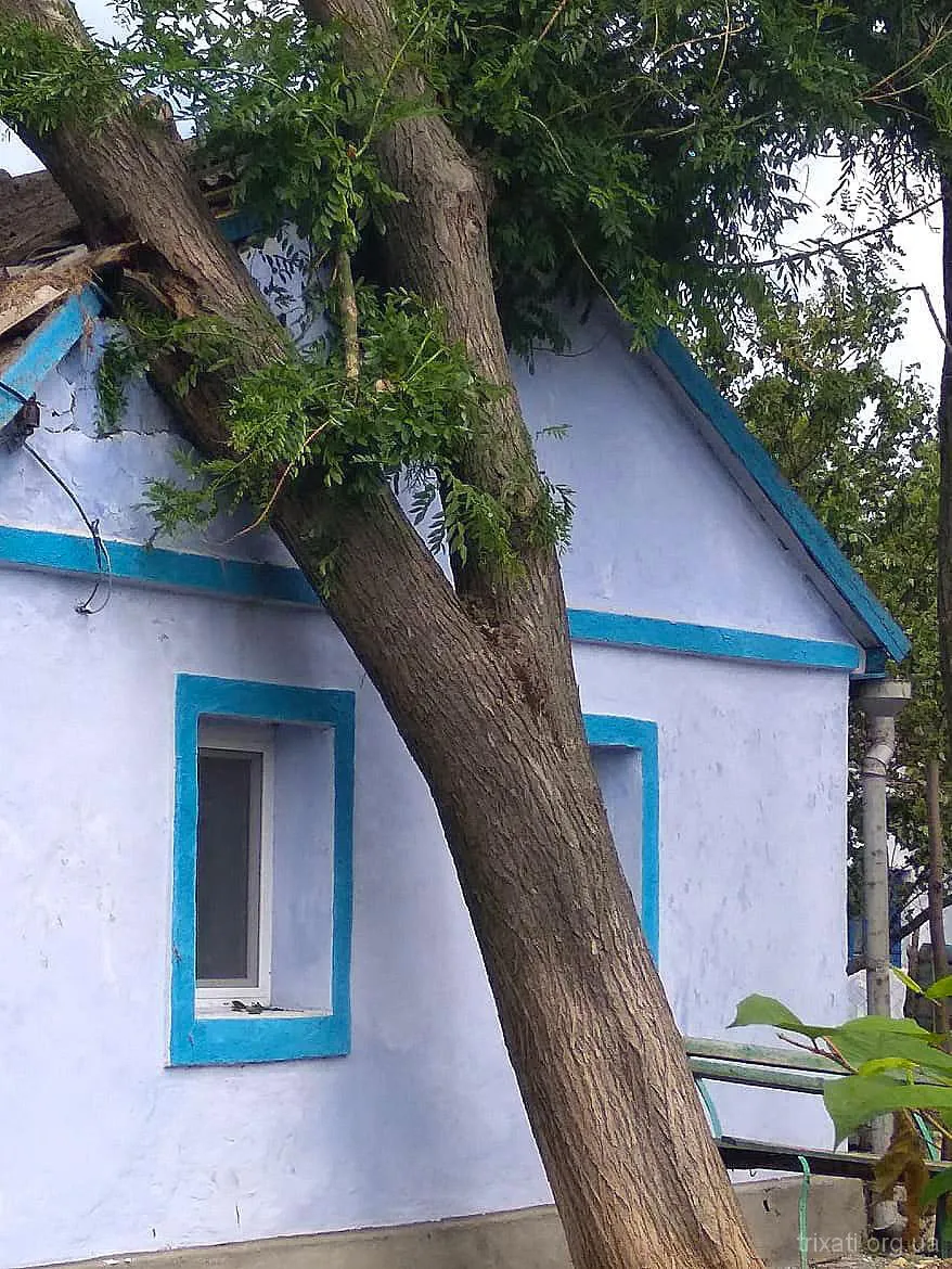 Літня Буря